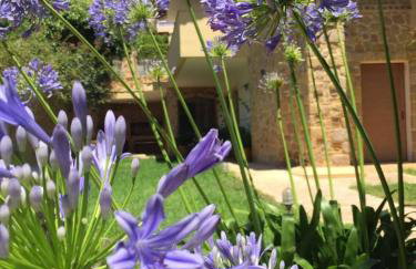 Platanus Gardenhouse - Foto 29