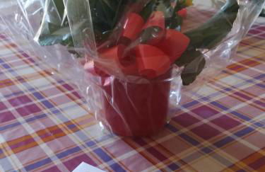 Soffitto Dipinto - Foto 34