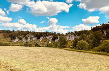 Gemütliche Ferienwohnung Monheim - Foto 27