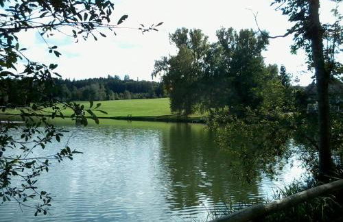 FeWo HoLiDay MAIsoNETTE Allgäu - Foto 31