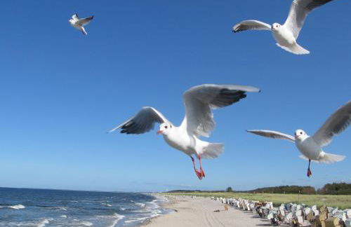 Ferienwohnanlage Jan - Foto 7