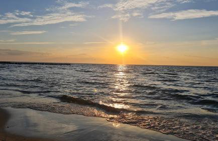 Czarna Perła - Foto 33