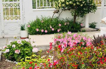 Lemon tree's house - Foto 39