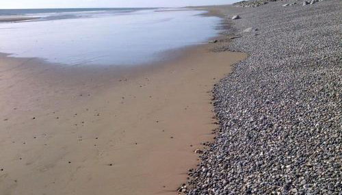 Trem Y Mor - Edge of the Sea - Foto 5