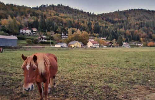 Le Vivaldi, Au cœur du massif vosgien avec terrain de pétanque - Foto 34