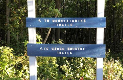 2 Bedroom 2 Bathroom - Blue Knob All Season Resort Condo - Foto 29