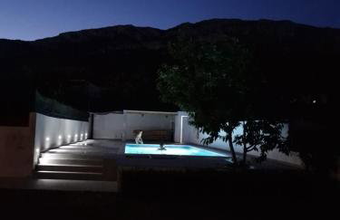 "Heaven on earth" with pool - Photo 8