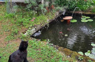 Ferienwohnung Nikoll/Simon - Foto 23