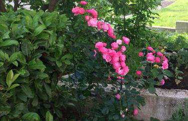 Apartment Gina - Photo 12