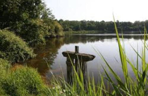 Maison de ville 3 chambres 3 salles d'eau parking 2 places - Foto 25