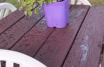 Mieszkanie z Ogrodem - Foto 38