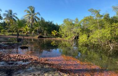 Porto Taipu - Foto 57