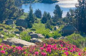 Studio 2 personnes avec Terrasse Literie-Serviettes-Ménage Fin de Séjour INCLUS - Foto 14