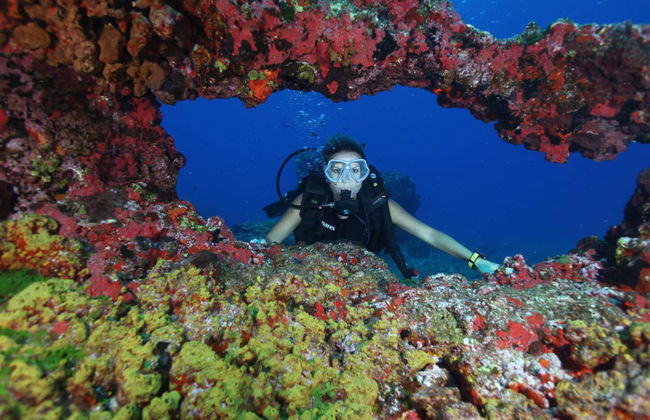 Immersione a Fernando de Noronha - Foto 7