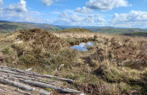 Bwthyn Gweilch - Photo 15