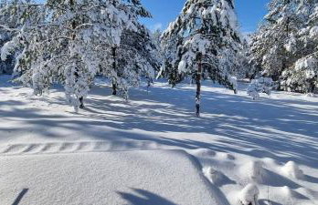 Borsk Sielanka - Foto 34