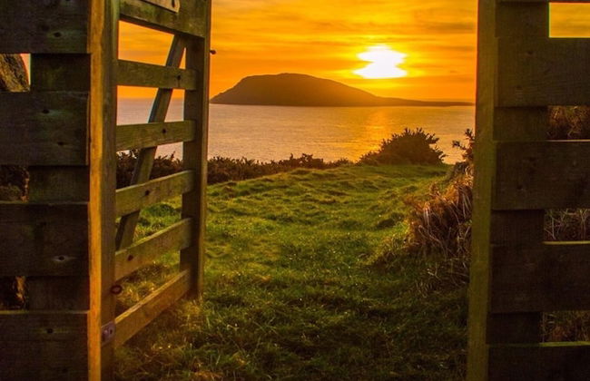 Superb Cintra Apartments - Foto 50