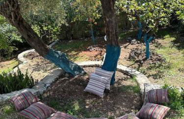 Mount Minis - Casa Bruno - Foto 48