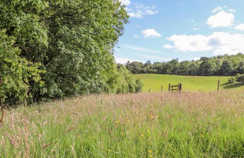 The Owl's Shack - Foto 41