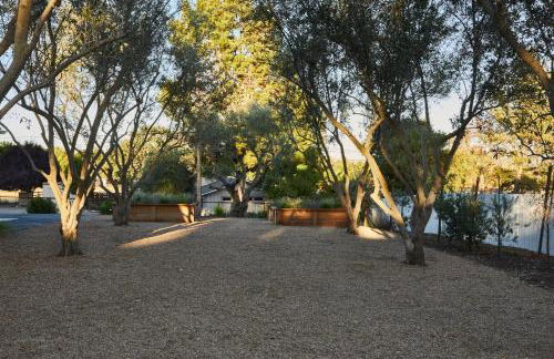 Olive and Stone - Foto 33