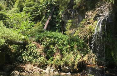 Casa da Cascata do Segredo - Photo 19