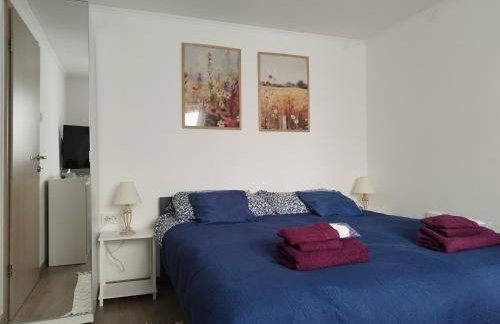 "Cattus" studio apartman - Foto 3