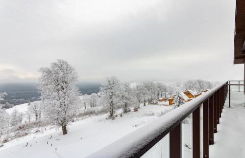 Willa Zieleniec - Foto 8