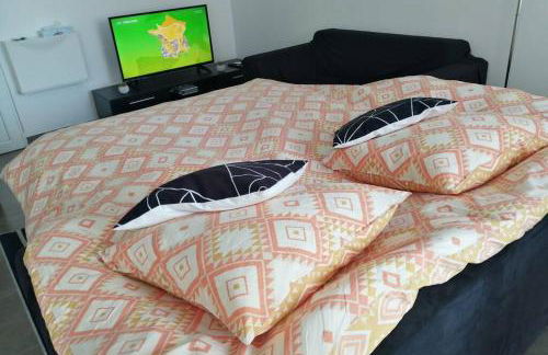 Appart'Hôtel Lagnieu - Foto 22