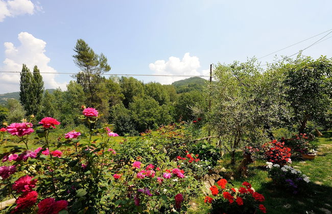 Agriturismo Casa Brunori - Foto 34