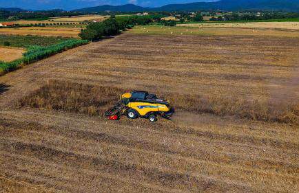 Agriturismo I Debbi - Foto 10