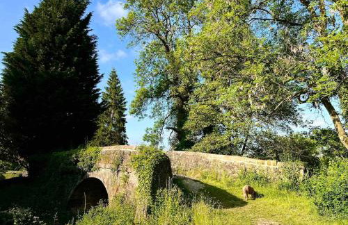 Bridle Cottage - Foto 6