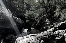 M Butterfly - Foto 52