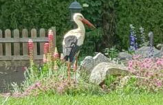 Żuławska Chata - Foto 36