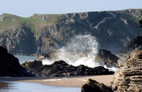 Driftwood Cottage Llangrannog - Photo 19