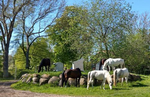 Luxus-Ferienhaus auf Reiterhof ART.Quartier - Foto 25