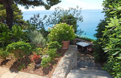 Villa Maristika - Foto 7