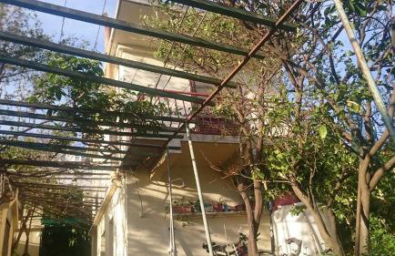 Apartments Petković - Foto 18