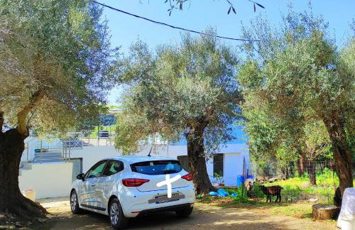 Nature House Vlatos - Foto 28