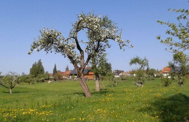 Apartment in Hergensweiler - Foto 9