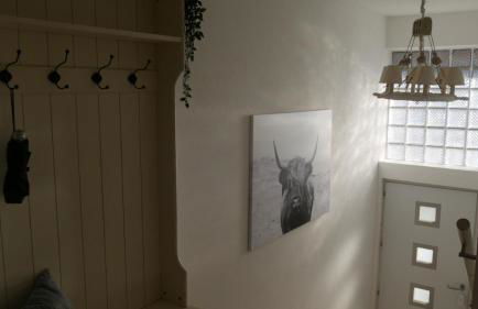 Großer Elefant - Foto 26