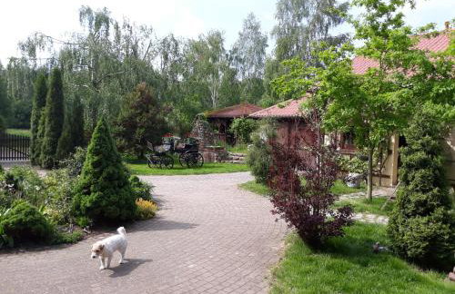 Dworska Zagroda - Foto 28