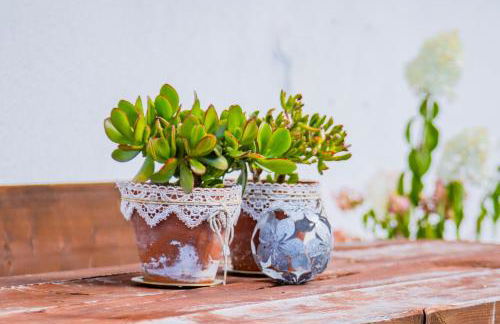 Apartment Dolomites Nest - Photo 4