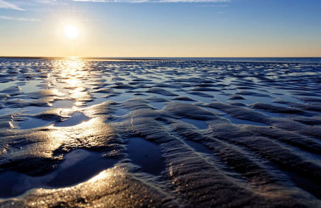 Beach House Langeoog - Foto 23