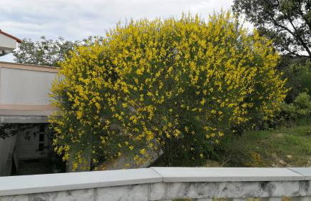 Vila Marija - Photo 27