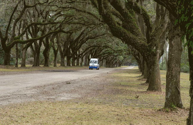 Excursión a Wormsloe y el cementerio Bonaventure - Foto 8