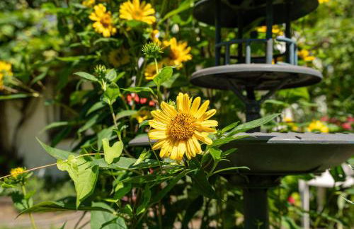 Ferienwohnungen Behling am Schufutsberg - Foto 52