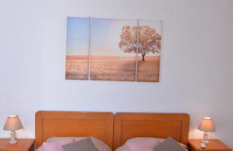 Sunny Rooms - Photo 3