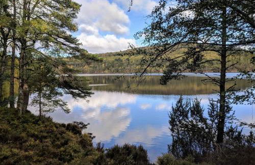 Spectacular Mountain View Ecopod - Foto 21