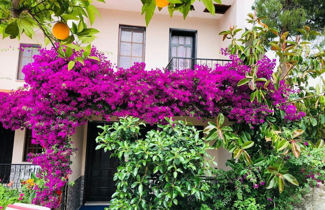 Dalyan Villas Sun Nature and History - Photo 20