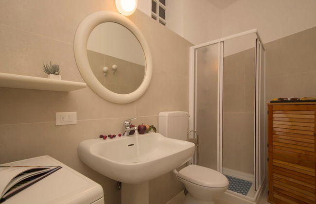 Rododendro Rosso - Foto 14